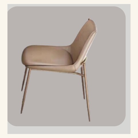 Dining Chair DC-2411-006