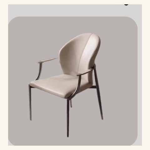 Dining Chair DC-2411-009